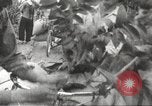 Image of bicycle transportation system Hanoi Vietnam, 1967, second 15 stock footage video 65675061795