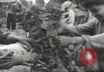 Image of bicycle transportation system Hanoi Vietnam, 1967, second 16 stock footage video 65675061795