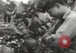Image of bicycle transportation system Hanoi Vietnam, 1967, second 17 stock footage video 65675061795