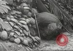 Standbild Vereinigten Staaten Truppen Bong Sohn Vietnam, 1967, aus Sekunde 27 historischem Filmmaterial Videoclip 65675061806