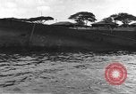 Standbild Pearl Harbor Angriff Pearl Harbor Hawaii USA, 1941, aus Sekunde 41 historischem Filmmaterial Videoclip 65675061817