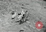 Standbild fallen von Singapur Singapur, 1942, aus Sekunde 23 historischem Filmmaterial Videoclip 65675061821