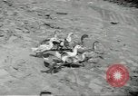 Standbild fallen von Singapur Singapur, 1942, aus Sekunde 24 historischem Filmmaterial Videoclip 65675061821