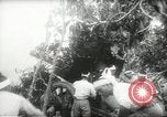 Standbild japanische Truppen malaiischen Dschungel Kuantan, 1942, aus Sekunde 22 historischem Filmmaterial Videoclip 65675061825