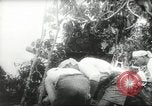 Standbild japanische Truppen malaiischen Dschungel Kuantan, 1942, aus Sekunde 23 historischem Filmmaterial Videoclip 65675061825