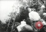 Standbild japanische Truppen malaiischen Dschungel Kuantan, 1942, aus Sekunde 24 historischem Filmmaterial Videoclip 65675061825