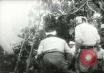 Standbild japanische Truppen malaiischen Dschungel Kuantan, 1942, aus Sekunde 25 historischem Filmmaterial Videoclip 65675061825