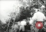 Standbild japanische Truppen malaiischen Dschungel Kuantan, 1942, aus Sekunde 26 historischem Filmmaterial Videoclip 65675061825