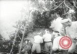 Standbild japanische Truppen malaiischen Dschungel Kuantan, 1942, aus Sekunde 27 historischem Filmmaterial Videoclip 65675061825