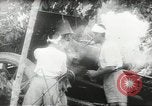 Standbild japanische Truppen malaiischen Dschungel Kuantan, 1942, aus Sekunde 33 historischem Filmmaterial Videoclip 65675061825