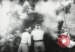 Standbild japanische Truppen malaiischen Dschungel Kuantan, 1942, aus Sekunde 41 historischem Filmmaterial Videoclip 65675061825