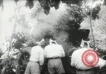 Standbild japanische Truppen malaiischen Dschungel Kuantan, 1942, aus Sekunde 43 historischem Filmmaterial Videoclip 65675061825