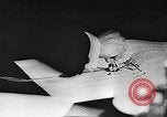 Image of Three Power Pact Germany, 1942, second 47 stock footage video 65675061830
