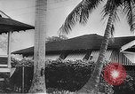 Image of Pearl Harbor attack by Japan Pearl Harbor Hawaii USA, 1941, second 53 stock footage video 65675061831