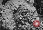 Image of President Franklin Roosevelt United States USA, 1941, second 62 stock footage video 65675061832