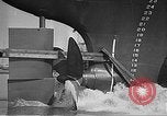 Standbild uns Munitionsfabrik Zweiten Weltkrieg United States USA, 1942, aus Sekunde 36 historischem Filmmaterial Videoclip 65675061833