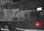 Immagine di Stati Uniti Marines guardia Naval Air Station Pearl Harbor Hawaii USA, 1941, secondo 39 filmato di repertorio 65675061834