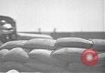 Standbild Defensive Training Pearl Harbor Hawaii USA, 1941, aus Sekunde 44 historischem Filmmaterial Videoclip 65675061835