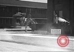 Image of United States Marines Pearl Harbor Hawaii USA, 1941, second 36 stock footage video 65675061837