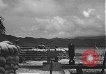 Immagine di Soldati statunitensi Kaneohe Bay Hawaii USA, 1942, secondo 4 filmato di repertorio 65675061848