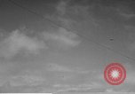 Image of F4F Wildcat aircraft demonstrate attack maneuvers Hawaii USA, 1942, second 7 stock footage video 65675061852