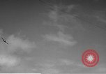 Image of F4F Wildcat aircraft demonstrate attack maneuvers Hawaii USA, 1942, second 14 stock footage video 65675061852