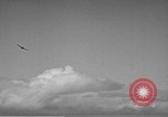 Image of F4F Wildcat aircraft demonstrate attack maneuvers Hawaii USA, 1942, second 45 stock footage video 65675061852