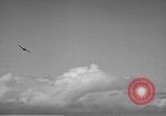 Image of F4F Wildcat aircraft demonstrate attack maneuvers Hawaii USA, 1942, second 46 stock footage video 65675061852