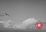 Image of F4F Wildcat aircraft demonstrate attack maneuvers Hawaii USA, 1942, second 47 stock footage video 65675061852