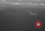 Image of F4F Wildcat aircraft demonstrate attack maneuvers Hawaii USA, 1942, second 62 stock footage video 65675061852