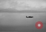 Image pilotes de Navy VF-3 battant F4F Wildcat aéronefs Hawaii USA, 1942, de la seconde 3 séquences d'archives historiques vidéo 65675061853