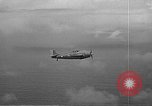 Image pilotes de Navy VF-3 battant F4F Wildcat aéronefs Hawaii USA, 1942, de la seconde 54 séquences d'archives historiques vidéo 65675061853