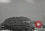 Image of United States Navy Pearl Harbor Hawaii USA, 1942, second 24 stock footage video 65675061862