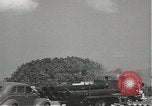 Image of United States Navy Pearl Harbor Hawaii USA, 1942, second 28 stock footage video 65675061862