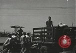 Image of United States Marines Pearl Harbor Hawaii USA, 1942, second 5 stock footage video 65675061863