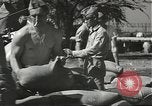 Image of United States Marines Pearl Harbor Hawaii USA, 1942, second 40 stock footage video 65675061863