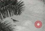 Standbild United States Navy Pearl Harbor Hawaii USA, 1942, aus Sekunde 10 historischem Filmmaterial Videoclip 65675061865