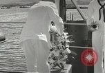 Standbild Memorial Day Services bei USS Arizona Honolulu Hawaii USA, 1942, aus Sekunde 61 historischem Filmmaterial Videoclip 65675061874