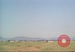 Image of Forward Air Controller Da Nang Vietnam, 1966, second 13 stock footage video 65675061921