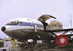 Image of Contract airlines Tan Son Nhut Vietnam, 1967, second 53 stock footage video 65675061937