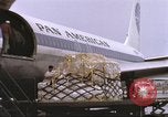 Image of Contract airlines Tan Son Nhut Vietnam, 1967, second 62 stock footage video 65675061937