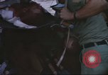 Image of 1st Infantry Division Vietnam, 1965, second 19 stock footage video 65675061948