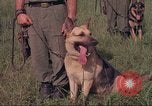 Image of 88th Military Police Corps Vietnam, 1965, second 41 stock footage video 65675061959
