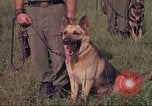 Image of 88th Military Police Corps Vietnam, 1965, second 44 stock footage video 65675061959