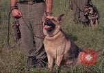 Image of 88th Military Police Corps Vietnam, 1965, second 46 stock footage video 65675061959
