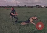 Image of 88th Military Police Corps Vietnam, 1965, second 8 stock footage video 65675061960