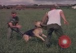 Image of 88th Military Police Corps Vietnam, 1965, second 10 stock footage video 65675061960