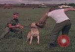 Image of 88th Military Police Corps Vietnam, 1965, second 11 stock footage video 65675061960