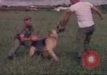 Image of 88th Military Police Corps Vietnam, 1965, second 13 stock footage video 65675061960