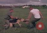 Image of 88th Military Police Corps Vietnam, 1965, second 15 stock footage video 65675061960